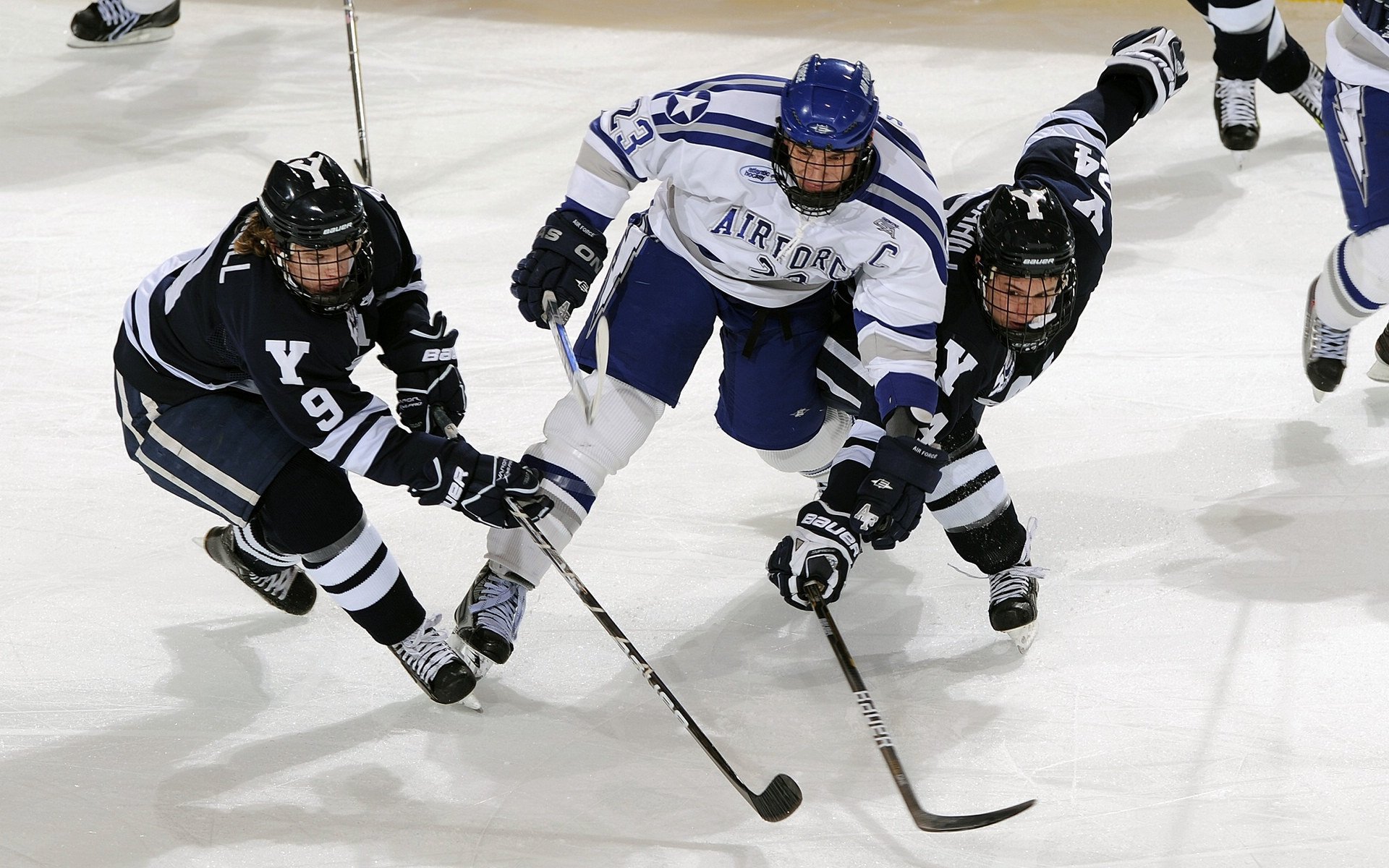 滑板犬牵引赛 狗狗拉着滑板手在平地巡游